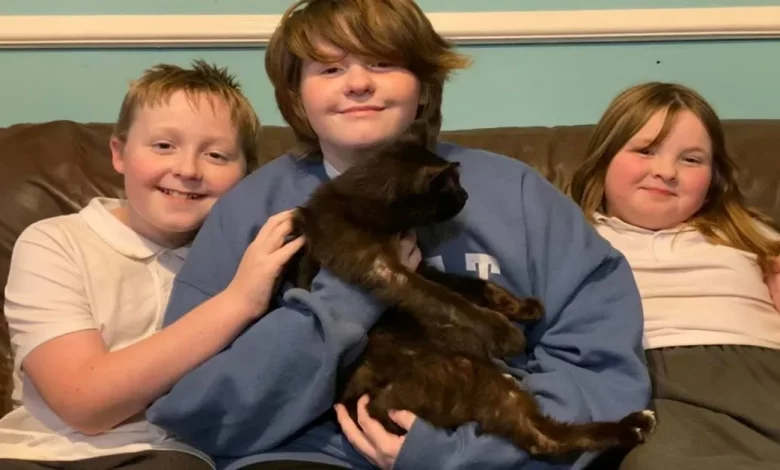 Mãe Encontra o Gato Após 8 Meses Quando Reconhece Seu Miado Durante uma Chamada Telefônica Mãe Encontra o Gato Após 8 Meses Quando Reconhece Seu Miado Durante uma Chamada Telefônica