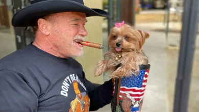 De Lulu, a jumenta, a Schnelly, o porco: Conheça o paraíso de animais de estimação de Arnold Schwarzenegger