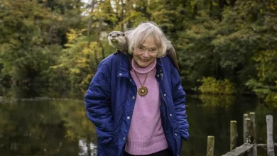 Esta Mulher e Seus Lontras de Estimação Passaram os Últimos 40 Anos Protegendo a Espécie da Extinção na Inglaterra