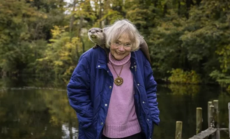 Esta Mulher e Seus Lontras de Estimação Passaram os Últimos 40 Anos Protegendo a Espécie da Extinção na Inglaterra Esta Mulher e Seus Lontras de Estimação Passaram os Últimos 40 Anos Protegendo a Espécie da Extinção na Inglaterra