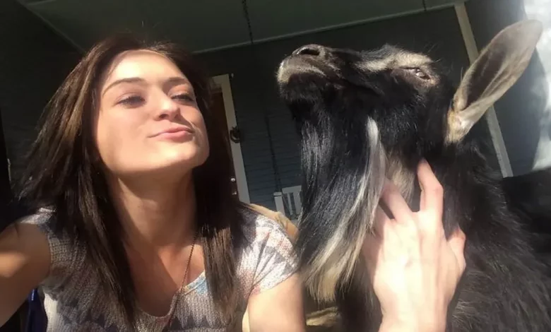 Mulher Divide Sua Casa Com 90 Animais Resgatados Que Ela Nomeou Com Personagens de O Senhor dos Anéis Mulher Divide Sua Casa Com 90 Animais Resgatados Que Ela Nomeou Com Personagens de O Senhor dos Anéis