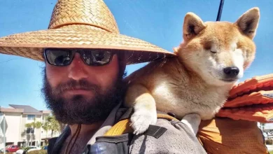 Homem Carrega Cão Cego por 1.300 Quilômetros Para Que Ela Possa Ganhar Confiança ao Caminhar o Resto da Caminhada Épica Sozinha