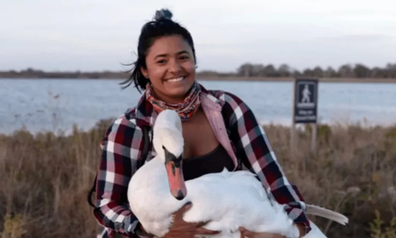 Observadora de Aves Vê Cisne Doente em NYC E o Embala Para Jornada de 37 km Através da Cidade Para Salvar Sua Vida Observadora de Aves Vê Cisne Doente em NYC E o Embala Para Jornada de 37 km Através da Cidade Para Salvar Sua Vida