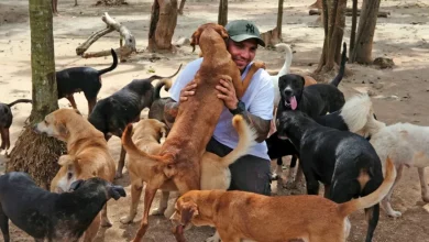 Homem Abre Sua Casa para Abrigar 300 Cães de um Furacão: ‘Não importa se a casa está suja’