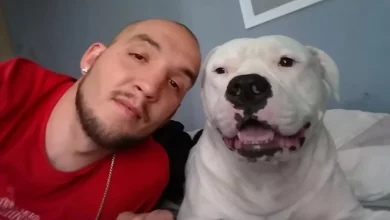 Quando o Homem Tentou Vender Seu Carro para Salvar Seu Cachorro, a Comunidade Veio ao Seu Resgate
