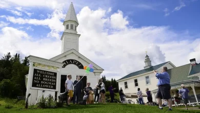 Este Retiro na Montanha de Vermont é um Paraíso para Cães e Amantes de Cães de Todo o Mundo.