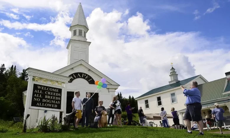 Este Retiro na Montanha de Vermont é um Paraíso para Cães e Amantes de Cães de Todo o Mundo. Este Retiro na Montanha de Vermont é um Paraíso para Cães e Amantes de Cães de Todo o Mundo.