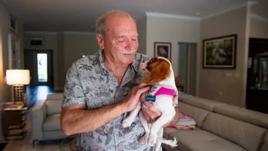 Homem da Flórida Resgata Cachorrinho de 8 Meses do Aperto de um Jacaré
