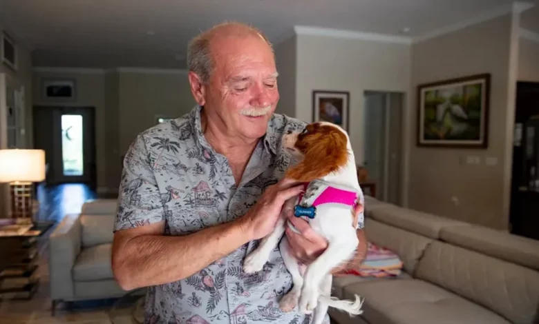Homem da Flórida Resgata Cachorrinho de 8 Meses do Aperto de um Jacaré Homem da Flórida Resgata Cachorrinho de 8 Meses do Aperto de um Jacaré