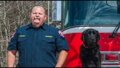Sheldon, o Cão que Não Passou no Treinamento de Animais de Serviço, Mas se Tornou um Especialista em Farejar Incêndios Criminosos