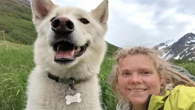 Husky Salva Caminhante Surda Após Ela Cair 213 Metros – e Não é a Primeira Vez que Ele Salva um Estranho no Alasca