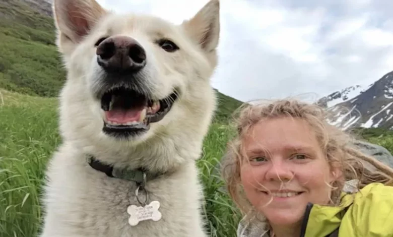 Husky Salva Caminhante Surda Após Ela Cair 213 Metros – e Não é a Primeira Vez que Ele Salva um Estranho no Alasca Husky Salva Caminhante Surda Após Ela Cair 213 Metros – e Não é a Primeira Vez que Ele Salva um Estranho no Alasca