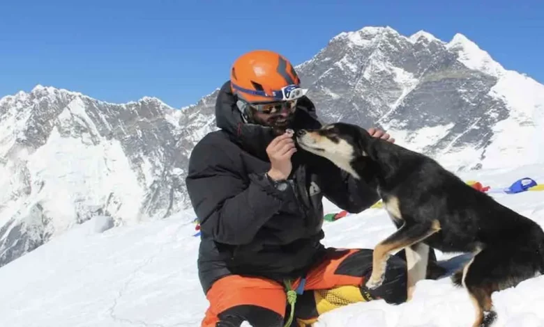 Cachorrinho Perdido no Nepal Segue Escaladores de Montanhas até o Topo em uma Incrível Aventura – Talvez o Recorde Mundial para um Cão Cachorrinho Perdido no Nepal Segue Escaladores de Montanhas até o Topo em uma Incrível Aventura – Talvez o Recorde Mundial para um Cão