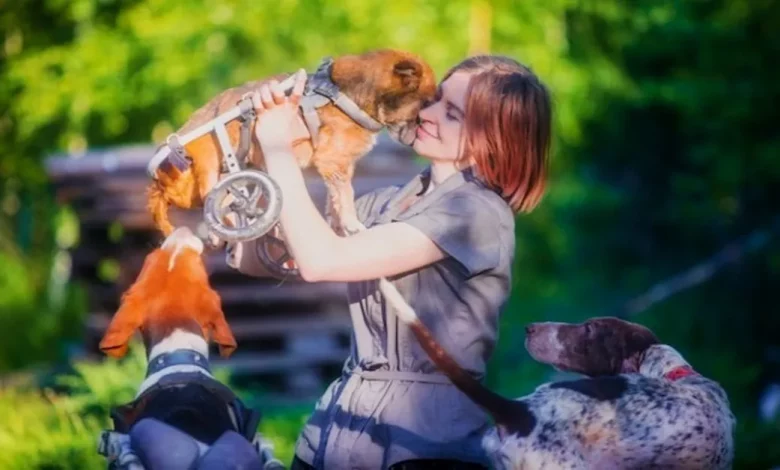 Mulher Abandona Carreira Bem-Sucedida na Cidade para Viver na Floresta Com Mais de 100 Animais Resgatados Mulher Abandona Carreira Bem-Sucedida na Cidade para Viver na Floresta Com Mais de 100 Animais Resgatados