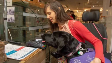 Cão de Serviço que Busca Comida, Roupa e Paga Compras Transformou a Vida Desta Mulher
