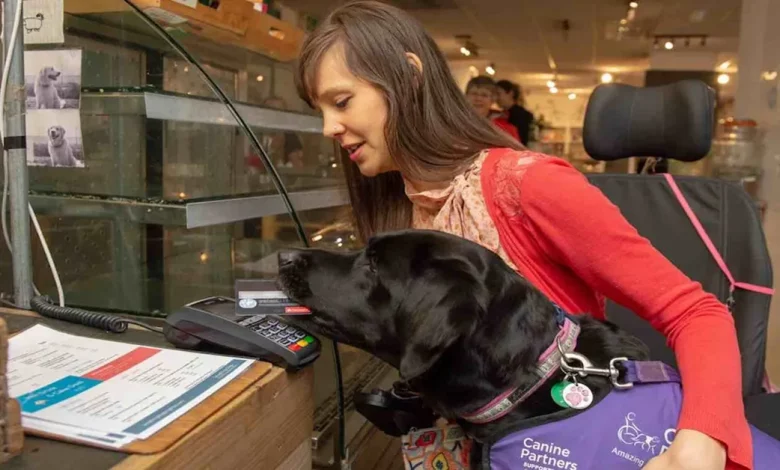 Cão de Serviço que Busca Comida, Roupa e Paga Compras Transformou a Vida Desta Mulher Cão de Serviço que Busca Comida, Roupa e Paga Compras Transformou a Vida Desta Mulher