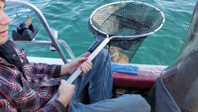Família de Pescadores Fica Surpresa ao Resgatar Jovem Lince de Afogamento no Meio de um Lago