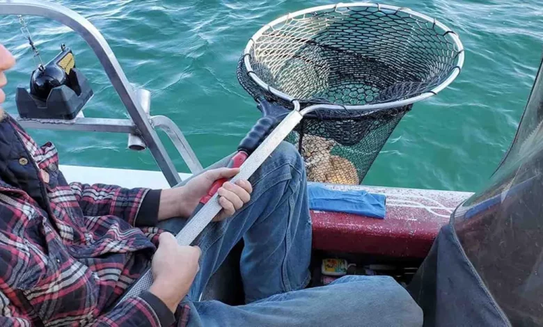 Família de Pescadores Fica Surpresa ao Resgatar Jovem Lince de Afogamento no Meio de um Lago Família de Pescadores Fica Surpresa ao Resgatar Jovem Lince de Afogamento no Meio de um Lago