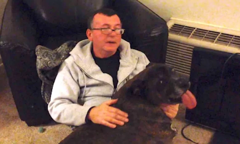 A Vida de um Homem Sem-Teto Muda Completamente Após Ele Retribuir Abrigo de Animais que Cuidadosamente Cuidou de Seu Cão