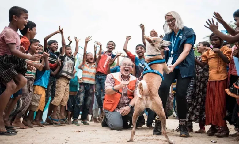 Um Filhote Perdido Tornou-se o Mascote Oficial da Alegria Para Milhares no Campo de Refugiados Rohingya Um Filhote Perdido Tornou-se o Mascote Oficial da Alegria Para Milhares no Campo de Refugiados Rohingya