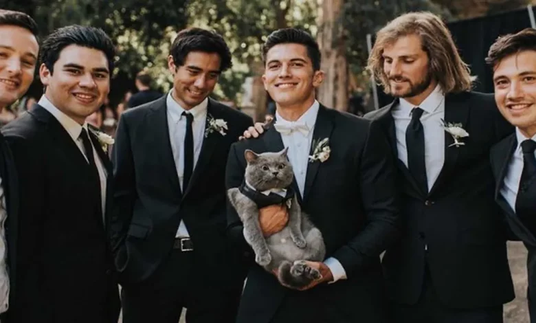 Este Gato ‘Tranquilão’ Foi o Padrinho no Casamento do Seu Dono—e as Fotos São Purrfeitas Este Gato ‘Tranquilão’ Foi o Padrinho no Casamento do Seu Dono—e as Fotos São Purrfeitas
