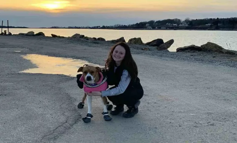Garota Que Poderia Morrer de Qualquer Cheiro Forte é Salva por um Cachorro Especialmente Treinado Garota Que Poderia Morrer de Qualquer Cheiro Forte é Salva por um Cachorro Especialmente Treinado