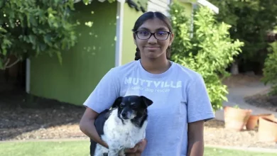 Adolescente Abandonada ao Nascimento Agora Arrecada Dinheiro para Dar Amor a Cães Idosos, do Mesmo Jeito que Encontrou um Lar para Sempre