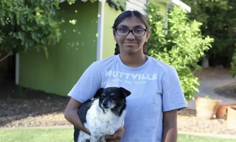 Adolescente Abandonada ao Nascimento Agora Arrecada Dinheiro para Dar Amor a Cães Idosos, do Mesmo Jeito que Encontrou um Lar para Sempre Adolescente Abandonada ao Nascimento Agora Arrecada Dinheiro para Dar Amor a Cães Idosos, do Mesmo Jeito que Encontrou um Lar para Sempre