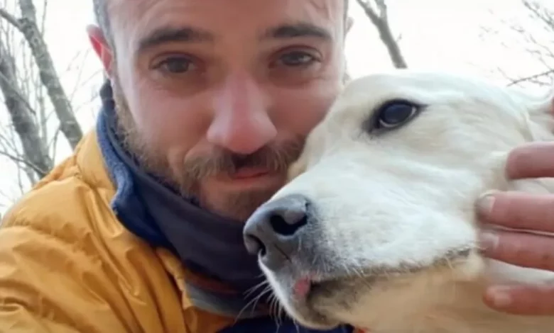 Este Cachorro Ficou Perdido na Floresta por 10 Dias Com uma Tempestade de Inverno a Caminho – Mas um Drone Salvou o Dia Este Cachorro Ficou Perdido na Floresta por 10 Dias Com uma Tempestade de Inverno a Caminho – Mas um Drone Salvou o Dia