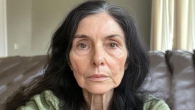 Eu criei meus netos gêmeos sozinha após a morte de minha filha – e de repente apareceu uma mulher exigindo que eu entregasse as crianças para ela
