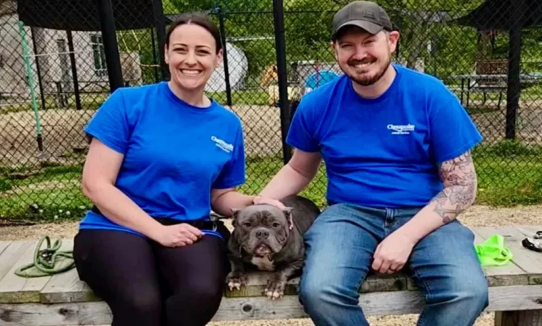 Para o aniversário de 40 anos de sua esposa, ele pagou a adoção de 40 cães de abrigo Para o aniversário de 40 anos de sua esposa, ele pagou a adoção de 40 cães de abrigo
