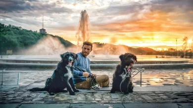Homem Encontra Cachorrinhos Abandonados no Meio do Deserto e os Leva em uma Épica Viagem de Carro Através do País