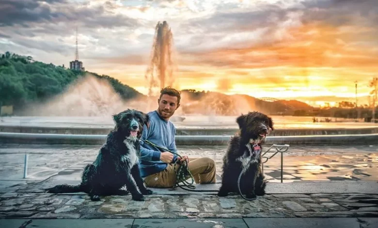 Homem Encontra Cachorrinhos Abandonados no Meio do Deserto e os Leva em uma Épica Viagem de Carro Através do País Homem Encontra Cachorrinhos Abandonados no Meio do Deserto e os Leva em uma Épica Viagem de Carro Através do País