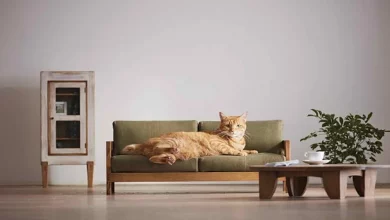 Esta Adorável Coleção de Móveis em Miniatura Foi Projetada Apenas Para Gatos
