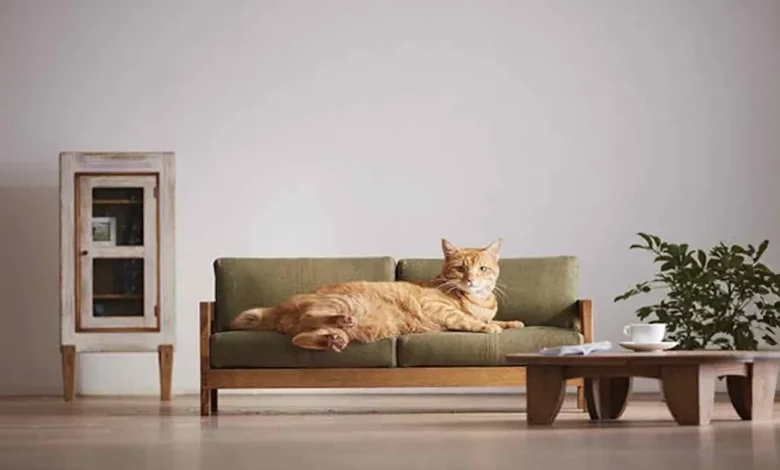 Esta Adorável Coleção de Móveis em Miniatura Foi Projetada Apenas Para Gatos Esta Adorável Coleção de Móveis em Miniatura Foi Projetada Apenas Para Gatos