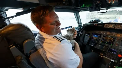 Piloto Adota Gato de Rua Durante Voo de Evacuação de Furacão