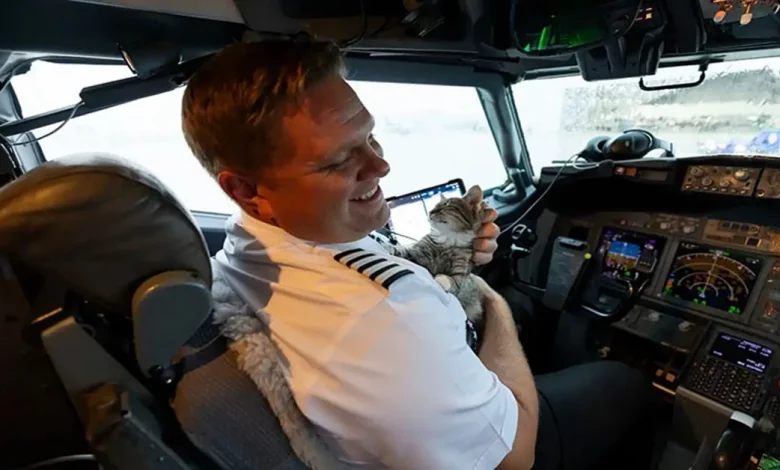 Piloto Adota Gato de Rua Durante Voo de Evacuação de Furacão Piloto Adota Gato de Rua Durante Voo de Evacuação de Furacão