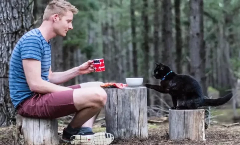 Homem Abandona Trabalho Monótono para Explorar a Austrália com um Gato e uma Campervan, Após uma Ruptura Difícil Homem Abandona Trabalho Monótono para Explorar a Austrália com um Gato e uma Campervan, Após uma Ruptura Difícil