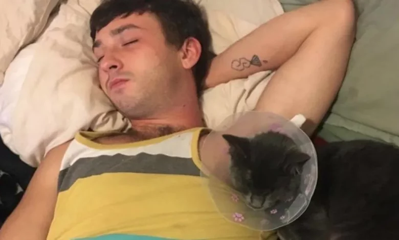Homem Faz para Si Mesmo um ‘Cone da Vergonha’ para que Seu Gato Não Fique Envergonhado Homem Faz para Si Mesmo um ‘Cone da Vergonha’ para que Seu Gato Não Fique Envergonhado