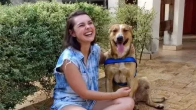 Cachorro de Rua Infiltra-se em Casamento e Encontra Seu Próprio Final Feliz