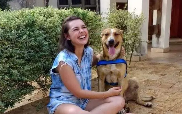 Cachorro de Rua Infiltra-se em Casamento e Encontra Seu Próprio Final Feliz Cachorro de Rua Infiltra-se em Casamento e Encontra Seu Próprio Final Feliz
