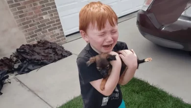 Garotinho chora de alegria ao ser surpreendido com um filhote de cachorro pela família