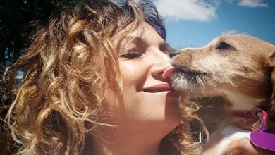Esta Mulher Salvou Centenas de Cães do ‘Terreno de Despejo’