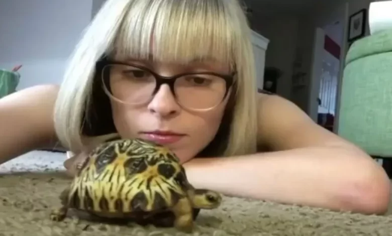 Mulher passa 3 anos cuidando de tartaruga “alma gêmea” e tem uma história notável para contar Mulher passa 3 anos cuidando de tartaruga “alma gêmea” e tem uma história notável para contar