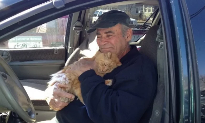 Este Senhor Cuida de Gatos Selvagens Todos os Dias Há 22 Anos Este Senhor Cuida de Gatos Selvagens Todos os Dias Há 22 Anos