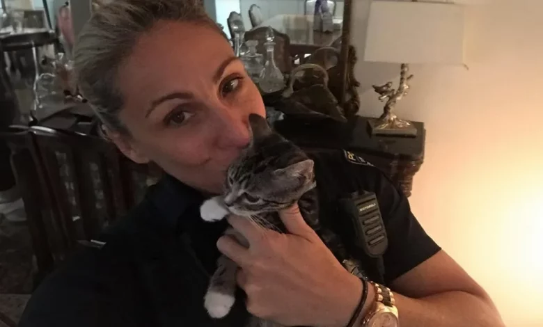 Policial Resgata e Encontra Lares para 63 Gatinhos Porque é ‘Mais Barato do que Ter Filhos’ Policial Resgata e Encontra Lares para 63 Gatinhos Porque é ‘Mais Barato do que Ter Filhos’