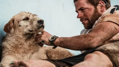 Cachorro Completa a Corrida Mais Difícil do Mundo Apenas para Encontrar um Lar