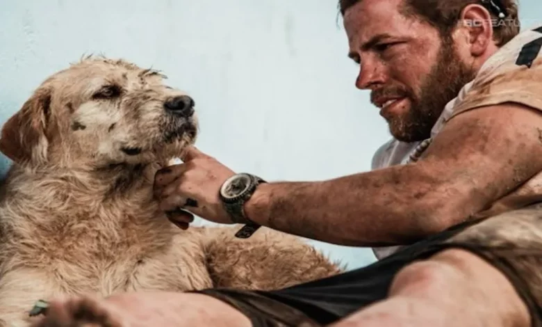 Cachorro Completa a Corrida Mais Difícil do Mundo Apenas para Encontrar um Lar Cachorro Completa a Corrida Mais Difícil do Mundo Apenas para Encontrar um Lar