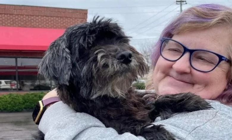 Mulher se Reencontra com Cachorro Perdido Graças a Uma Estranha Disposta a Levar o Pet por 800 Quilômetros Mulher se Reencontra com Cachorro Perdido Graças a Uma Estranha Disposta a Levar o Pet por 800 Quilômetros