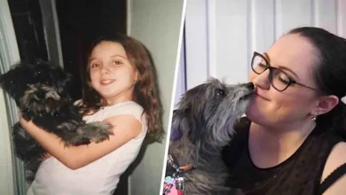 Mulher Descobre que o Cachorro Velho que Ela Acabou de Adotar Era o Mesmo que Ela Tinha Quando Era Criança